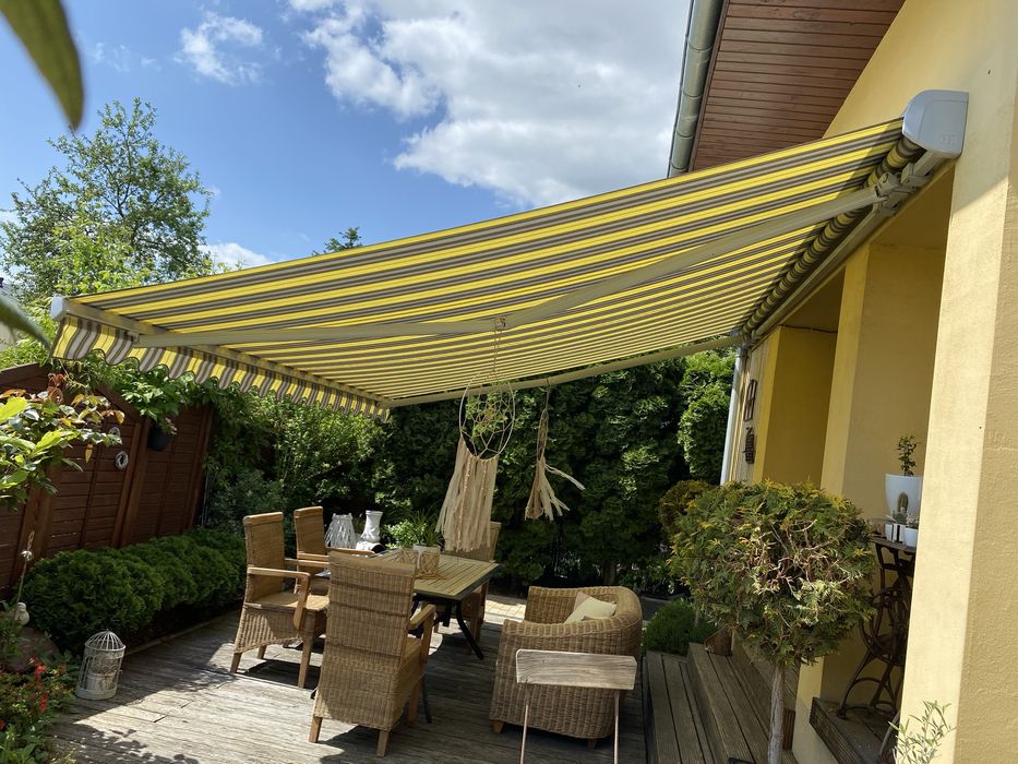 4 krzesła ratan + drzewo