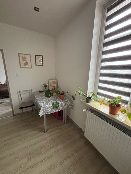 Apartment in Ruda Śląska, Radoszowy, Kochłowice - Widok 5