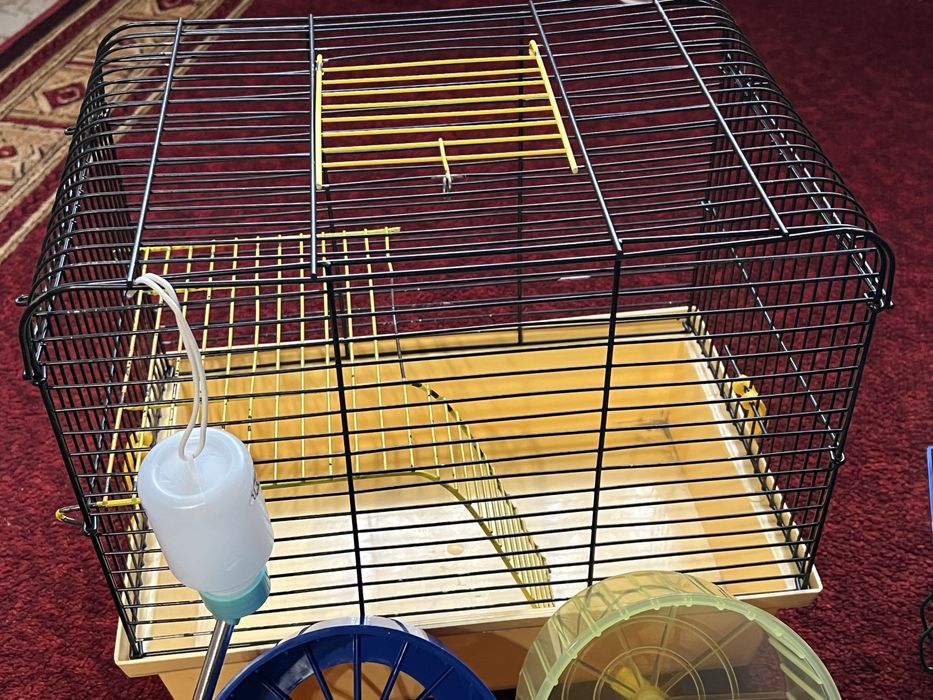Клітки для хомяків і аксесуари
