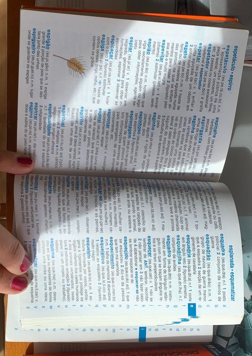 Dicionários em bom estado