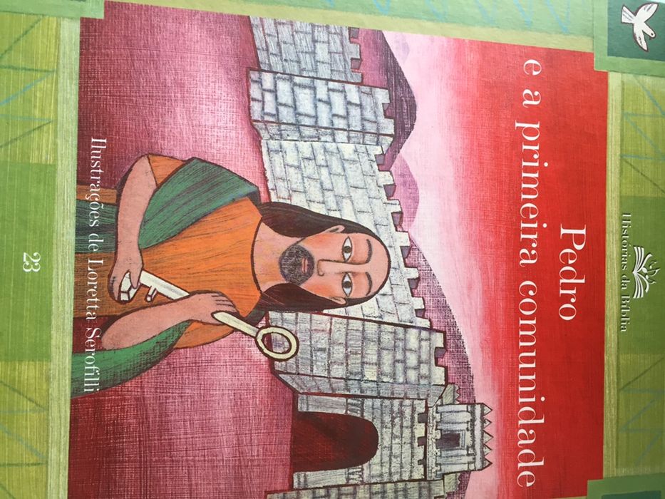 Coleção de livros Histórias da  Biblia para criamças!  Novosa