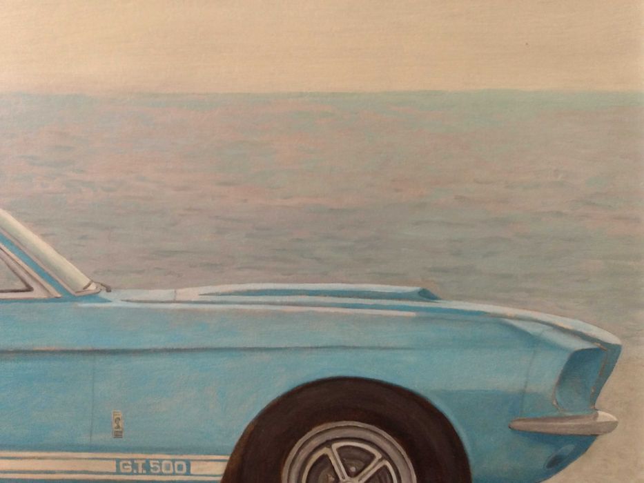 Mustang Shelby GT500 obraz