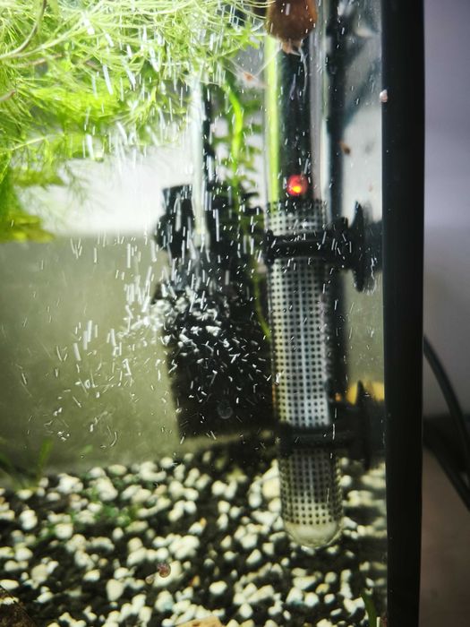 Акваріум 42 літри з креветками і мальками гуппі, барбусів та сомиків