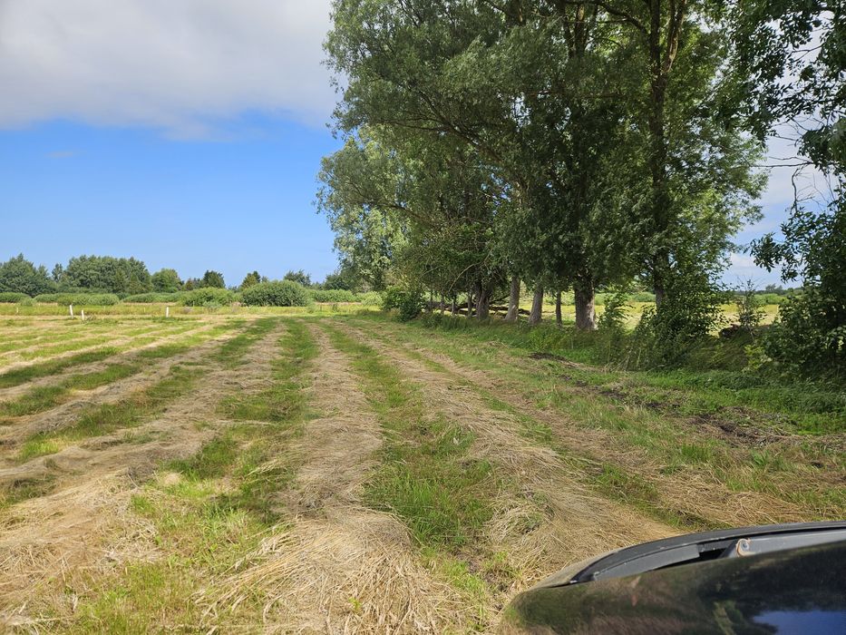 Karwia działka nad morzem w promocyjnej cenie - Widok 4