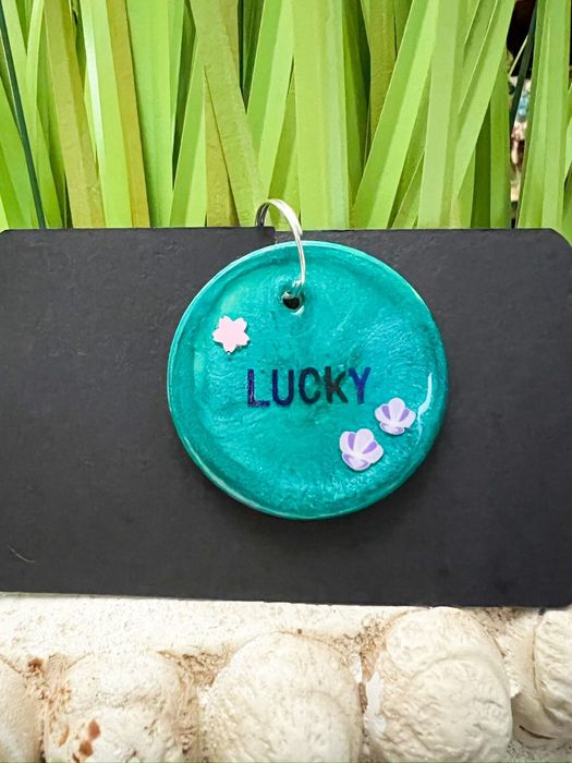 Chapas de Identificação de cão e gato