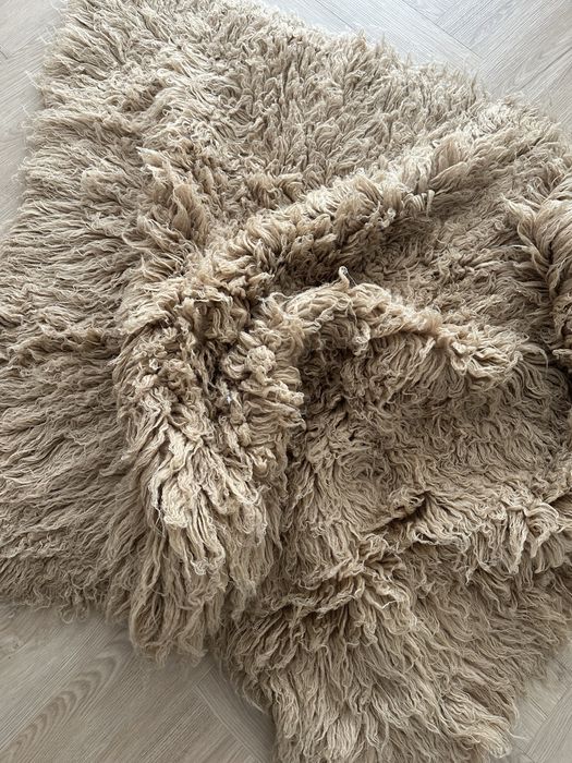 Flokatii do sesji fotograficznej