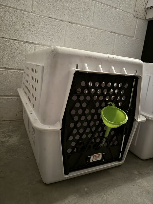 Transportadora animais para Avião!  80x55