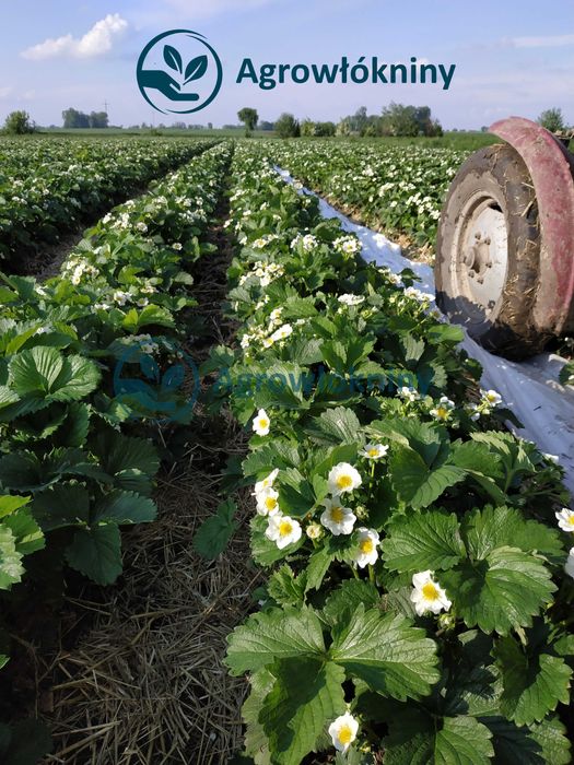 Suprasil PRO P23 12,65m X 100m Włóknina Agrowłóknina