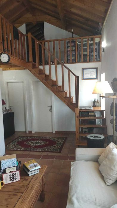 Quintinha T3 com Pomar e Furo