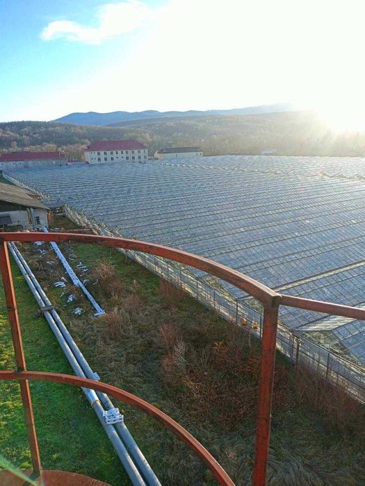 Продам Тепличний Комбінат в Івано-Франківській області