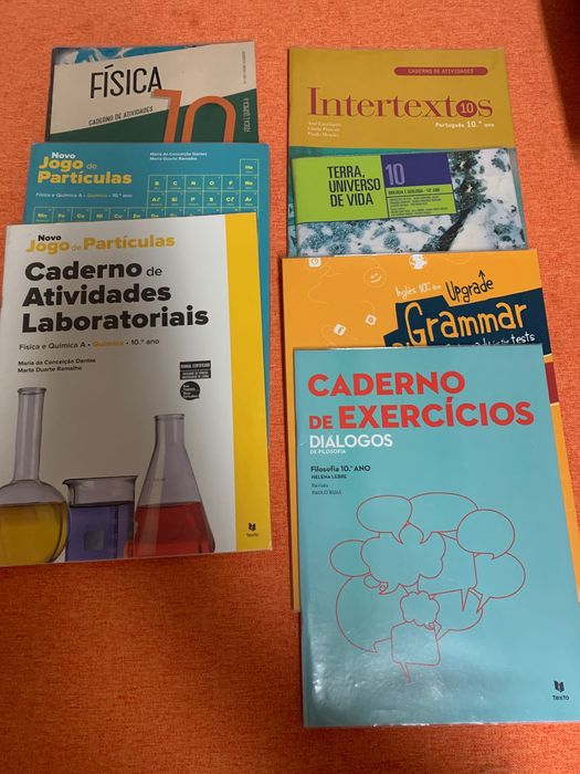 Cadernos de exercícios do 10 ano