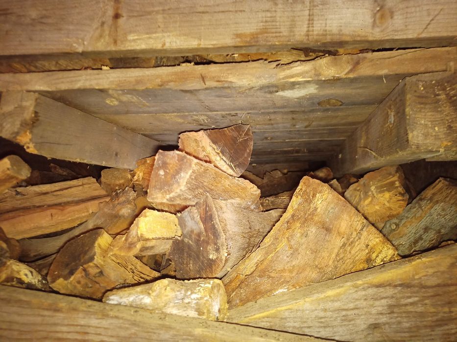 Lenha seca e enchuta