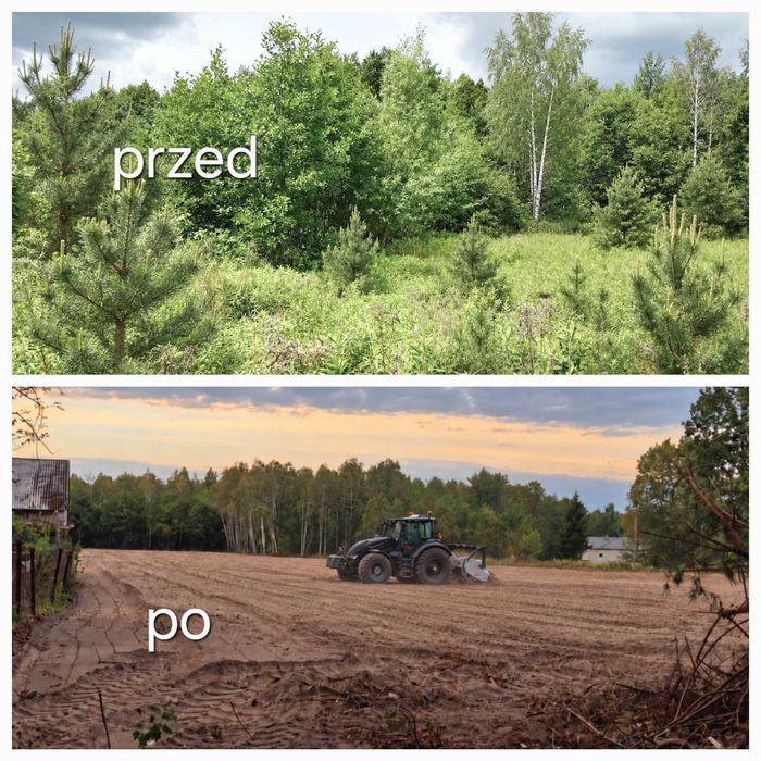 MULCZER SP. Z O.O. – MULCZOWANIE, KARCZOWANIE, REKULTYWACJA gruntów, wycinka, frezowanie, mulczer wgłębny, mulczer leśny, czyszczenie działki