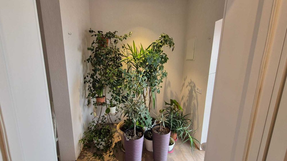 House by the address st. Primorskaya (area 151 m²) - Atlanta.ua - photo 13