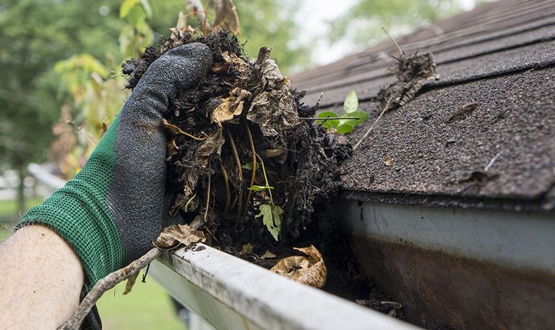 Limpeza de algeroz e impermeabilização de telhado
