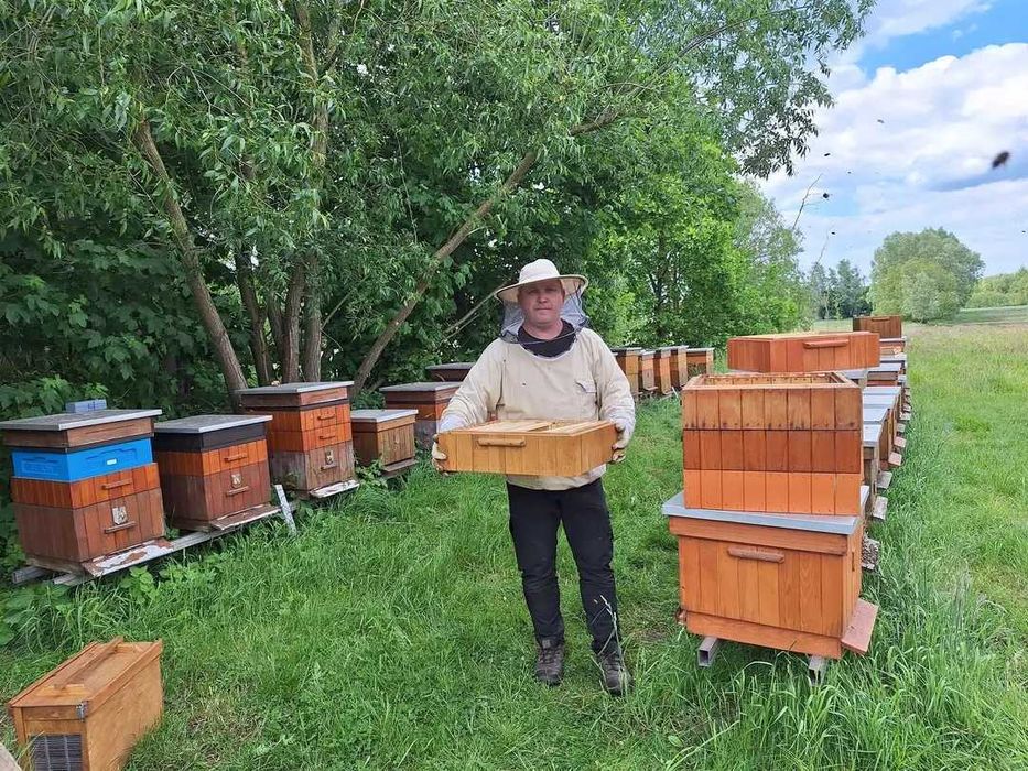 Miód wielokwiatowy z własnej pasieki.