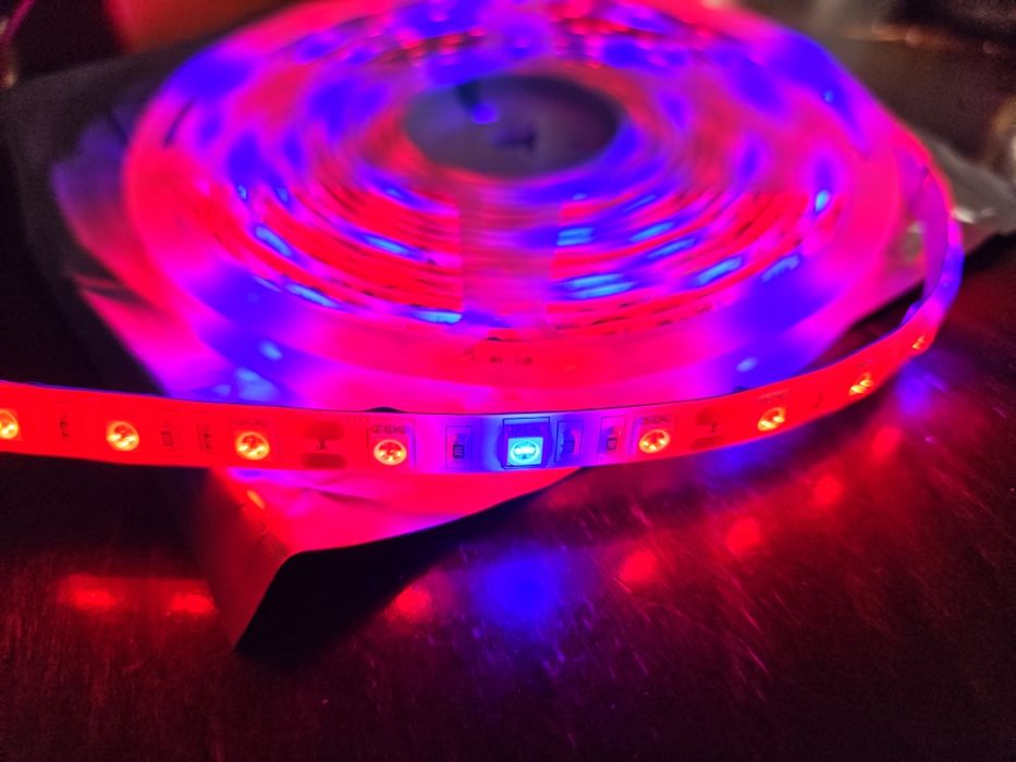 Taśma LED do roślin, pomidor, papryka, sadzonki do szklarni, full spektrum 5m