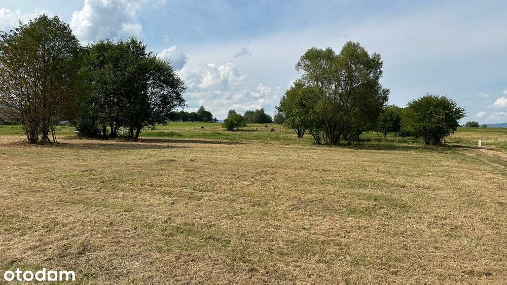 Działka Budowlana Na Sprzedaż – Leśna, Gmina Lipowa - Widok 3