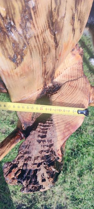 Pniak z świerku lakierowany