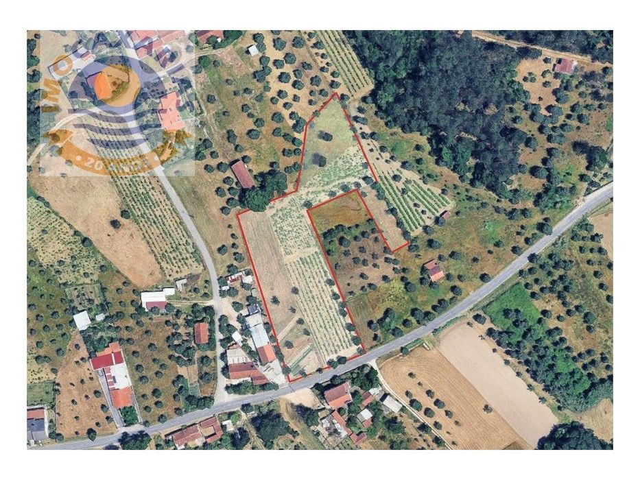 Terreno Amplo em Caxarias - 7.800 m² de Natureza e Potencial — Caxarias, Santarém