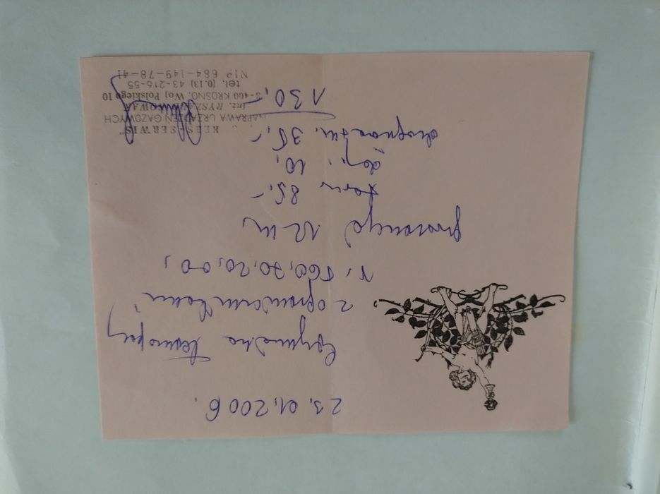 Piec gazowy kocioł Radiant R20 20kW