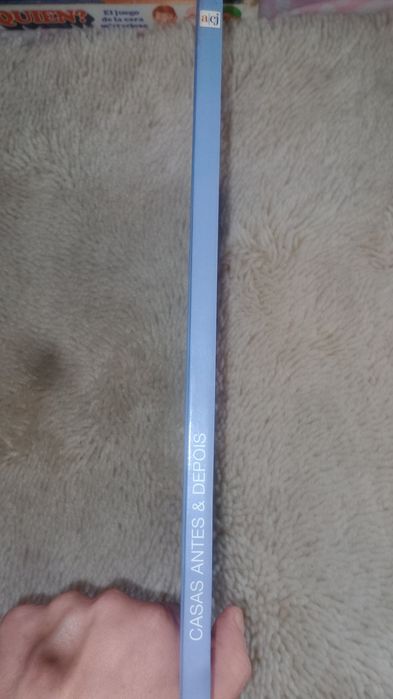 Livro Casas antes e depois