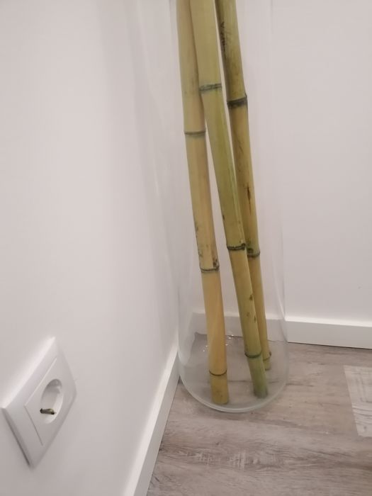 Vaso vidro grande 76cm canas de bambu