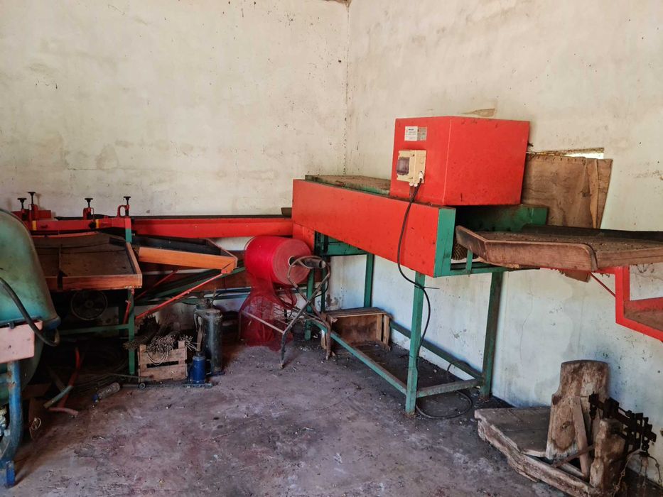 Máquina de lavar laranjas