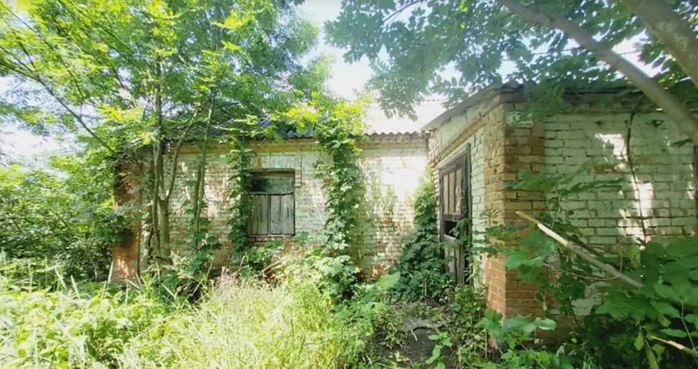 (8) Продається земельна ділянка в с. Дашківці 3573