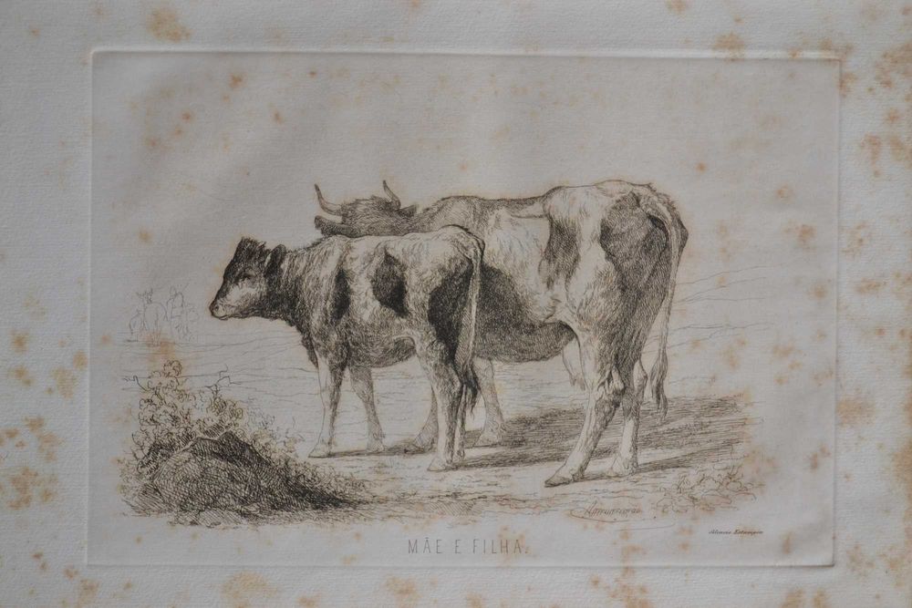 Gravuras Séc XIX - ANTERIORES A 1856