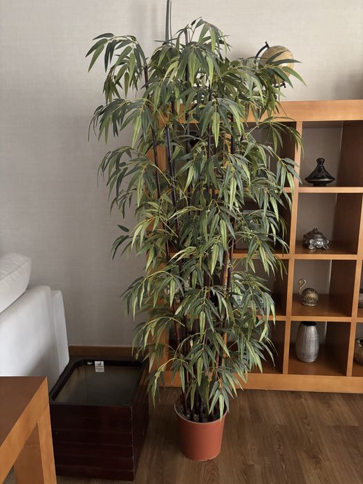 Vaso para plantas