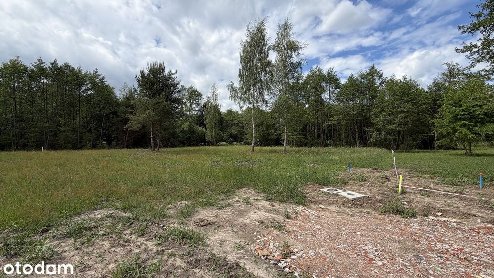 Rozalin - piękna działka przy granicy lasu - Widok 6