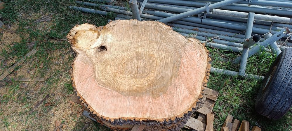 Plastry drewna z jesionu