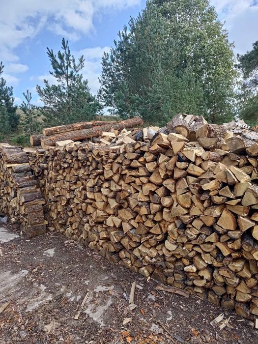 Drewno kominkowe opałowe