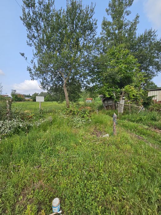 Terreno agrícola