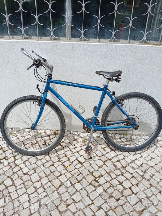 Bicicleta de montanha