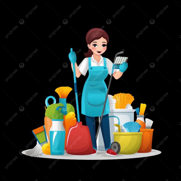 Servicos de faxina domestica