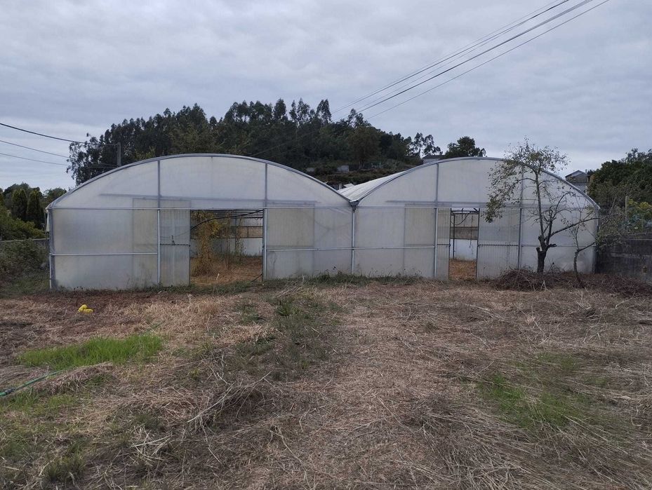 Estufa agrícola - excelente estado