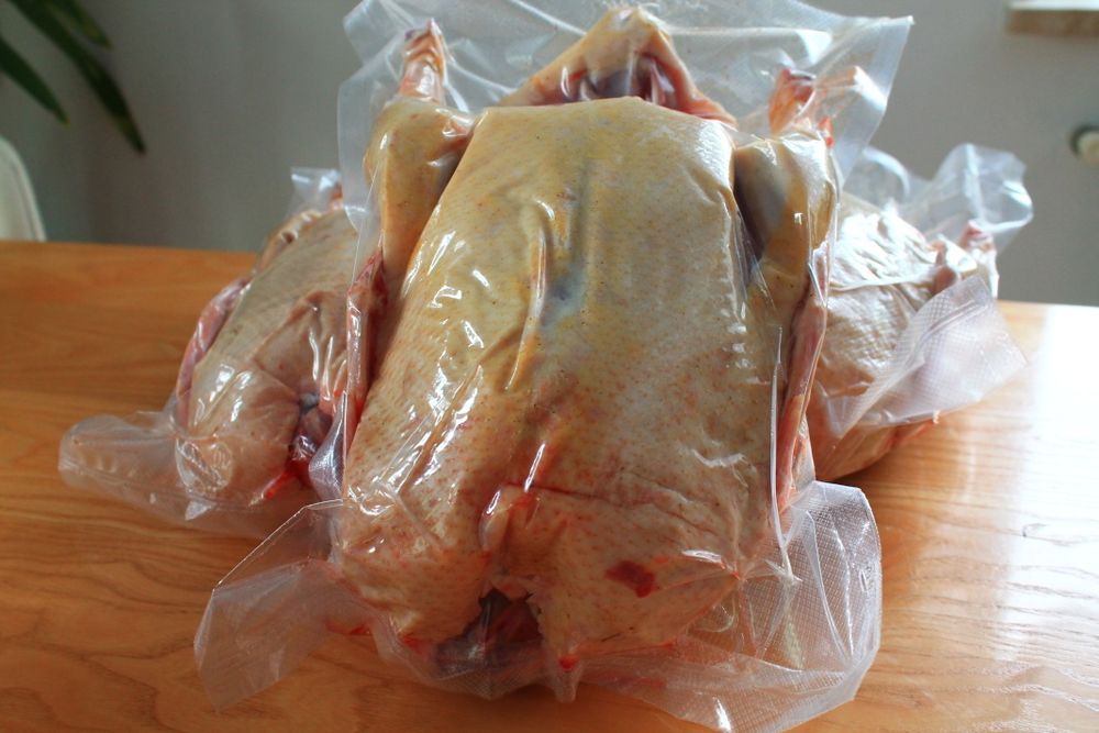 Kaczka wiejska tusza