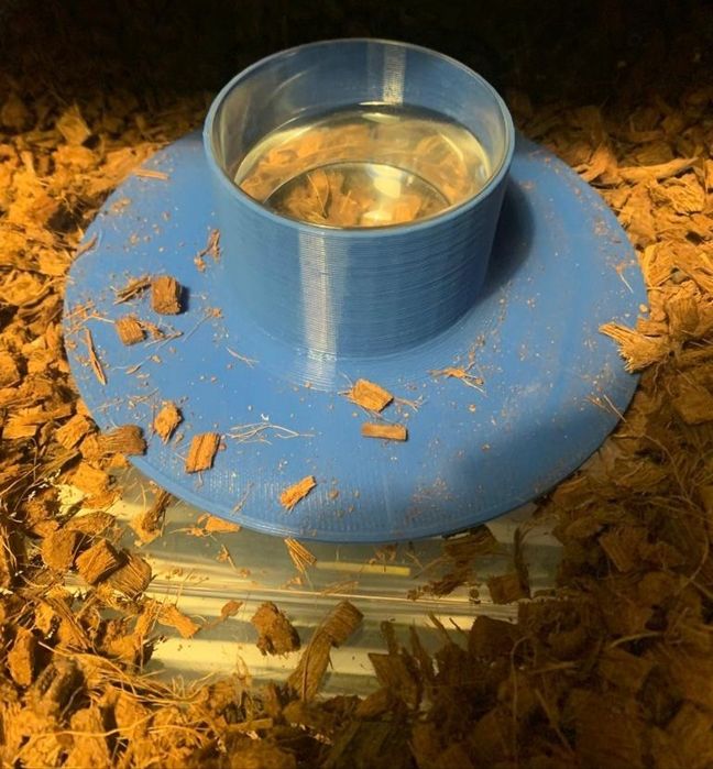 Base de taças de água para répteis