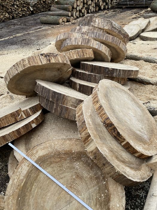 Plastry debowe Topola duze 80-100 cm srednicy grube Krążki