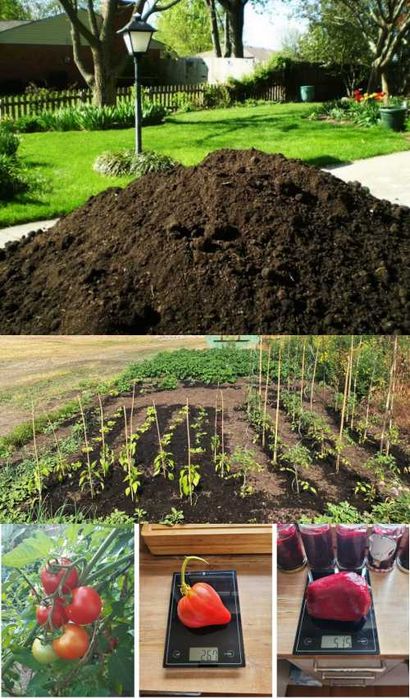 CZYSTA CZARNA ZIEMIA OGRODOWA Czarnoziem Koparka Studnia Dostawa Tanio