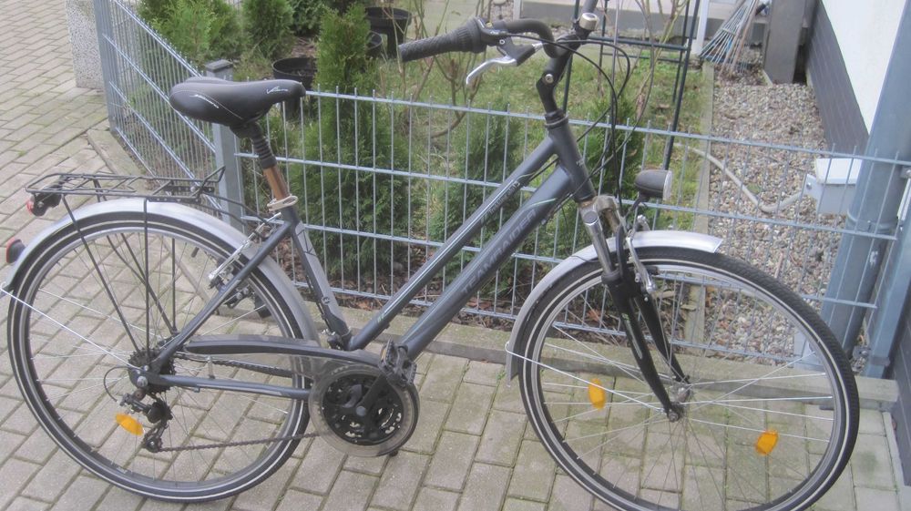 Damka Teamraider           koła 28  cali