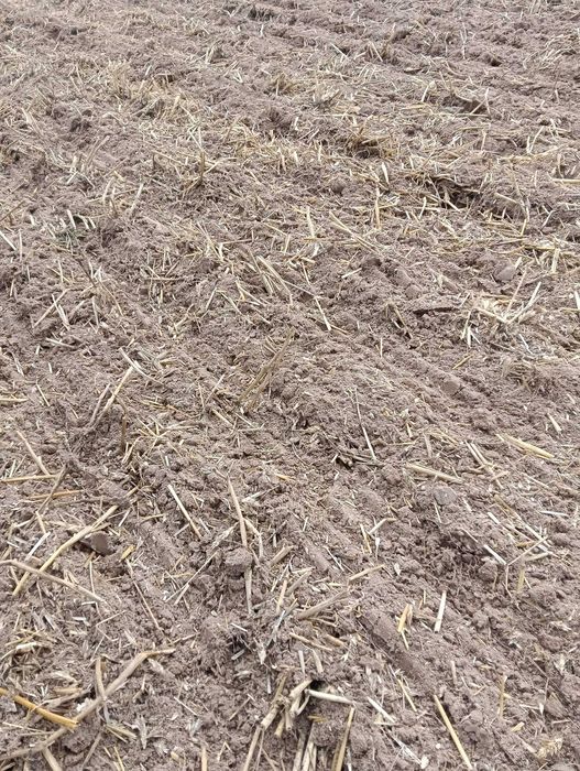 Brona talerzowa Lemken Rubin 9