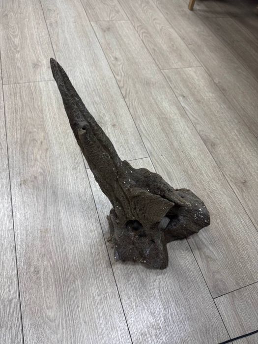 Коряга в терраріум
