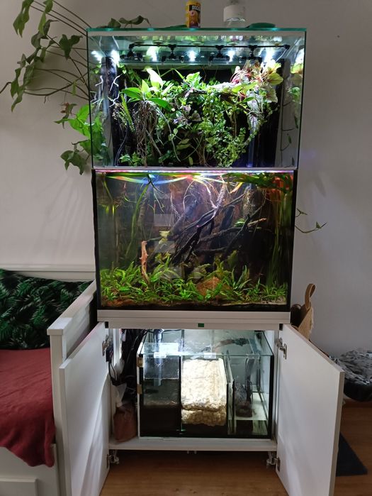 Akwarium 240L Sumo Komin tlo