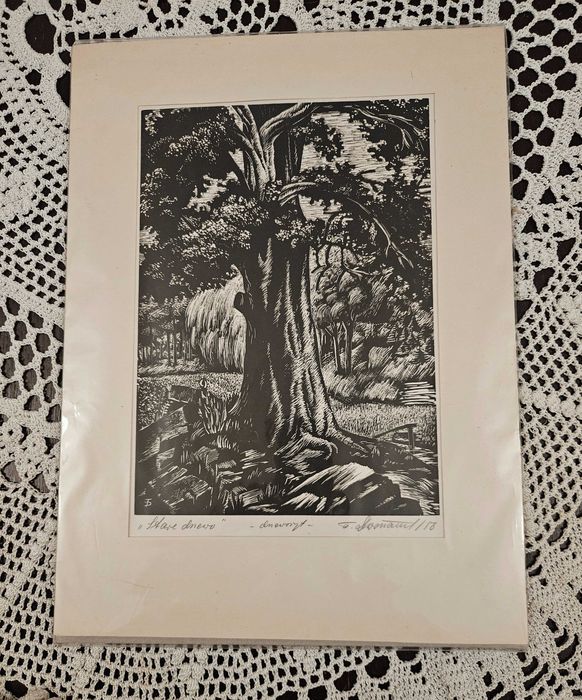 Tadeusz DWORZAŃSKI – Stare Drzewo – Oryginalny DRZEWORYT 1956 r.
