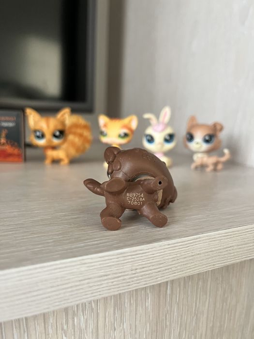 Lps міні іграшки мейнкун колекція The Sweet Soft набір 11 шт