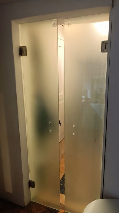 Drzwi szklane 81/206