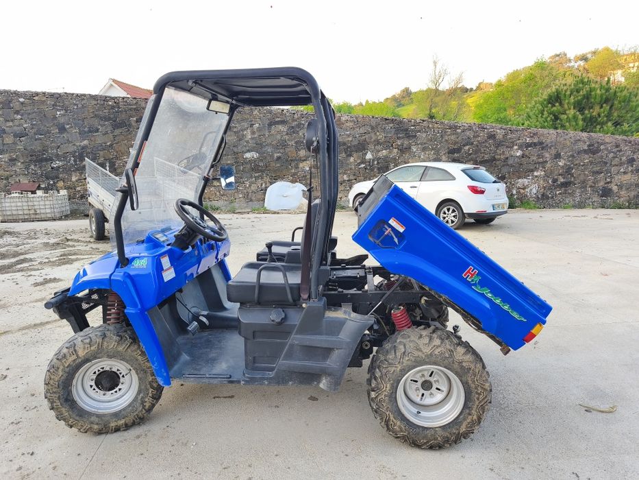 Buggy / UTV / utilitário / carrinho/ hytrack